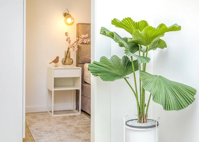 Biondina “luxury In The Center”